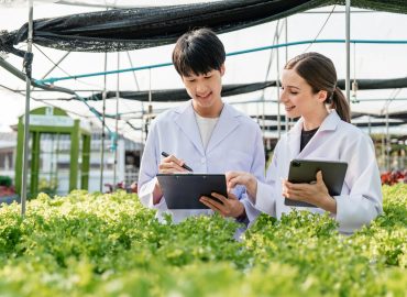 Researcher Analyzing Chemical Properties in a Vegetable Garden for Agricultural Advancements